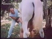 Naked bitch loves horse sex